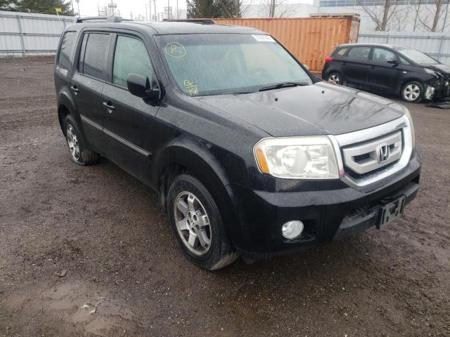Honda Pilot tour (2011)