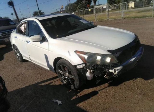 Honda Accord sdn (2011)