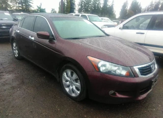 Honda Accord sdn (2010)