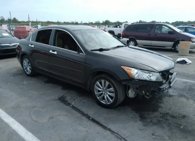 Honda Accord sdn (2011)