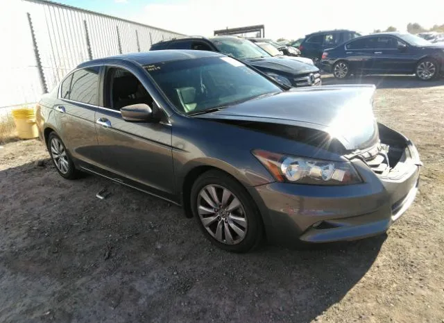 Honda Accord sdn (2011)