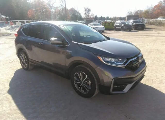 Honda Cr-v hybrid (2022)