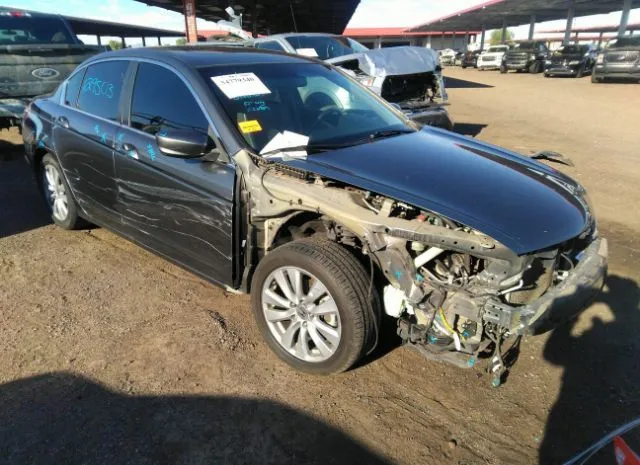 Honda Accord sdn (2011)