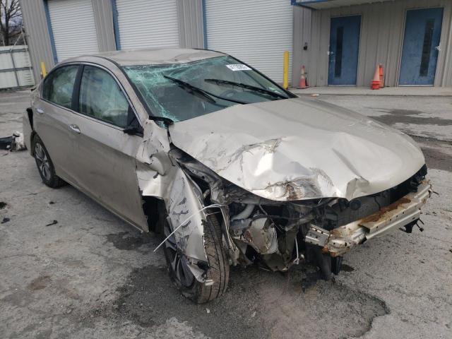 Honda Accord lx (2013)