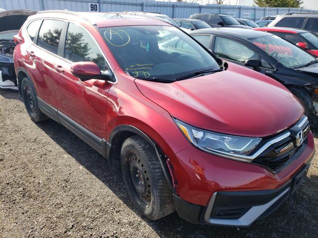 Honda Cr-v sport (2021)