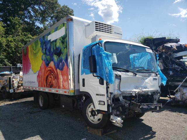 Isuzu Npr hd (2020)