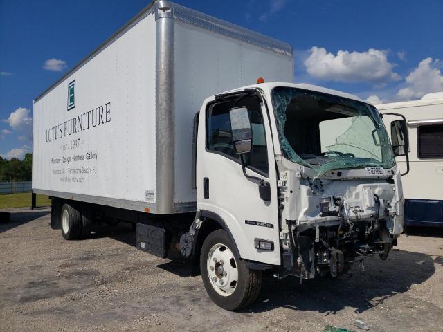 Isuzu Nrr (2019)