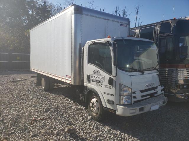 Isuzu Npr hd (2018)