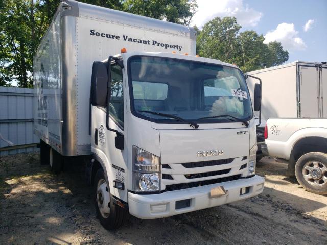 Isuzu Npr hd (2019)