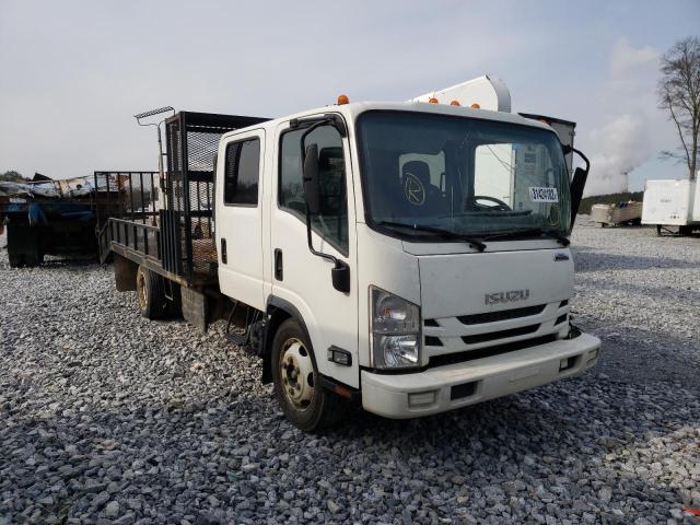 Isuzu Nqr (2019)
