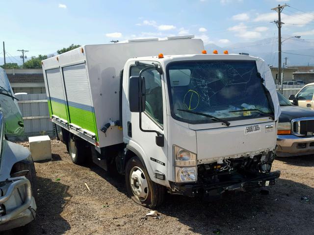 Isuzu Nqr (2019)