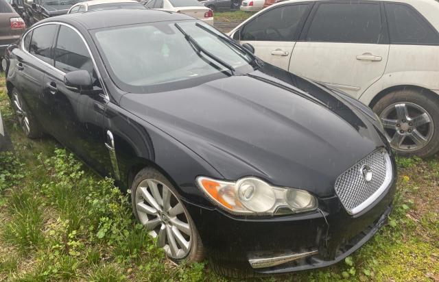 Jaguar Xf premium (2010)