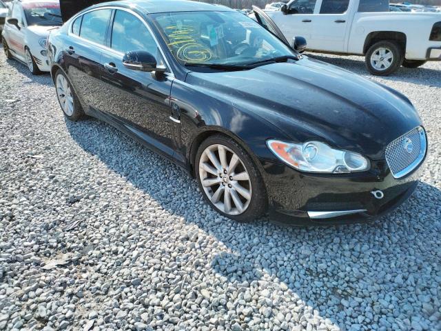 Jaguar Xf premium (2011)