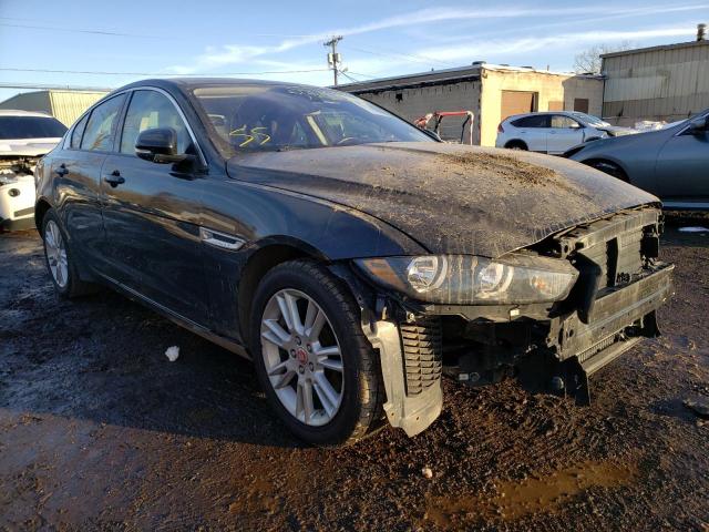 Jaguar Xe premium (2017)