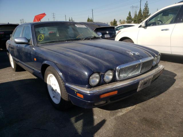 Jaguar Vandenplas (1995)