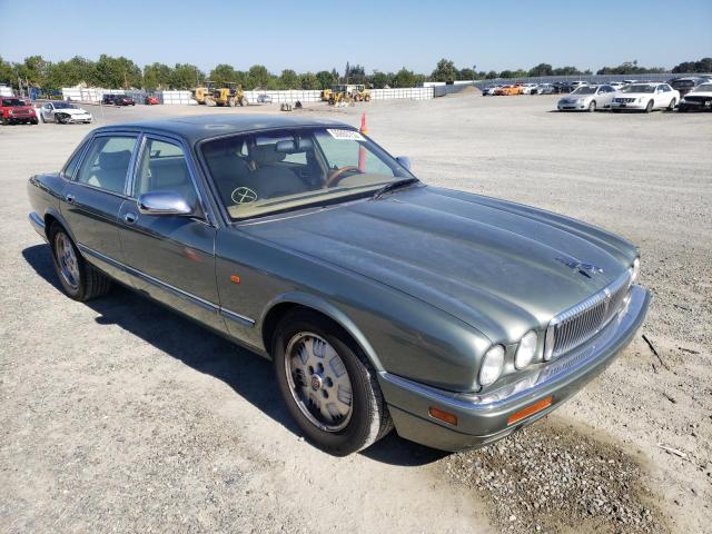Jaguar Vandenplas (1995)