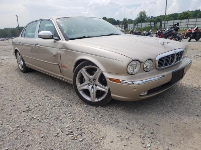 Jaguar Vandenplas (2005)