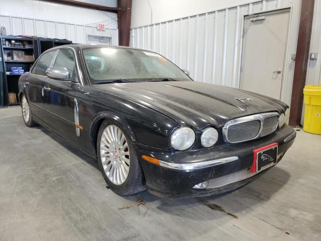 Jaguar Vandenplas (2005)