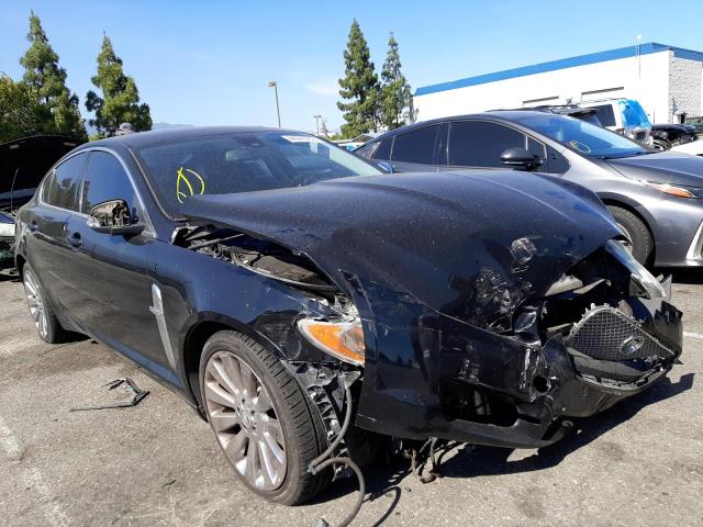 Jaguar Xf premium (2009)