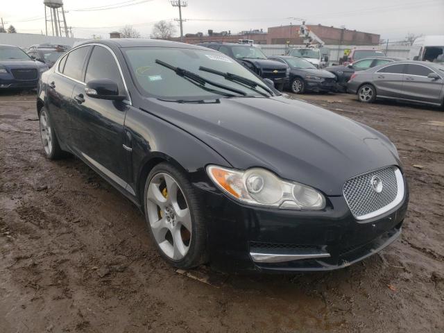 Jaguar Xf superch (2009)