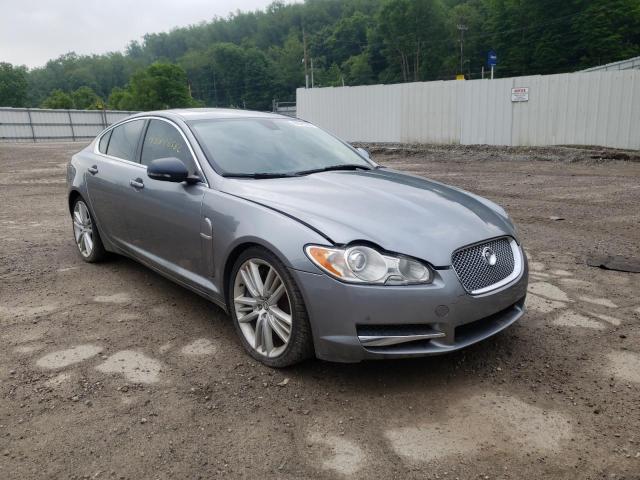 Jaguar Xf superch (2011)