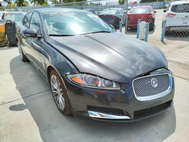 Jaguar Xf portfol (2012)