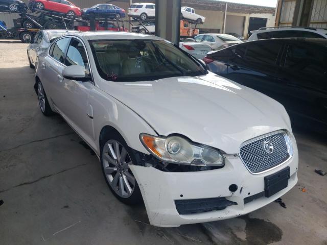 Jaguar Xf premium (2010)