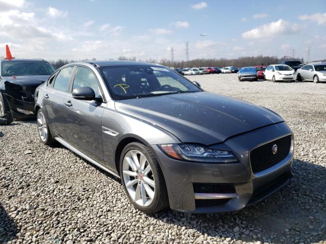 Jaguar Xf r - spo (2016)