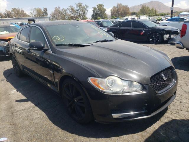 Jaguar Xf superch (2011)