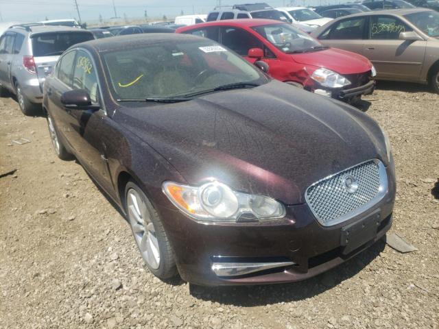 Jaguar Xf premium (2011)