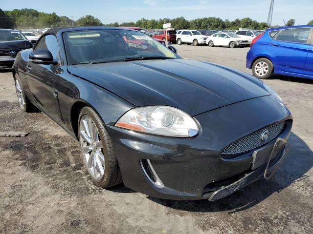 Jaguar Xk portfol (2010)