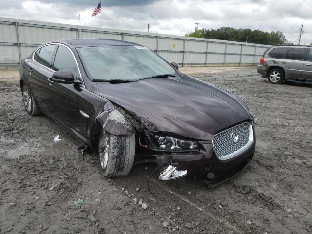 Jaguar Xf (2013)