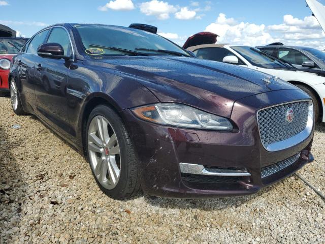 Jaguar Xjl portfo (2016)