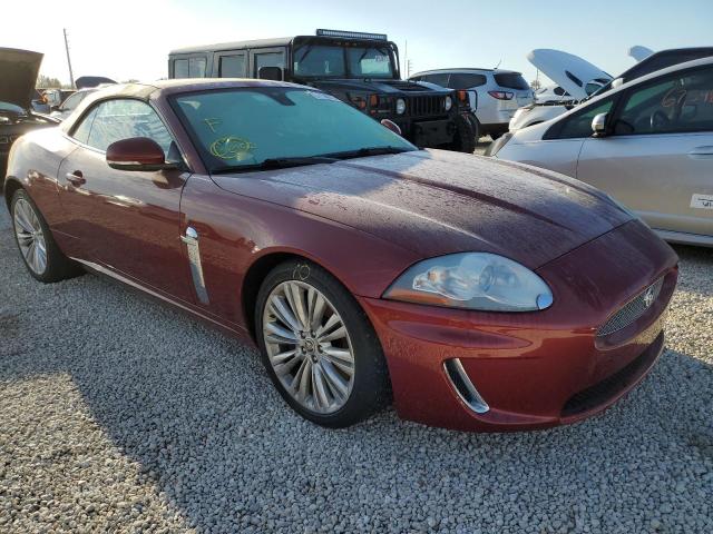 Jaguar Xk portfol (2010)