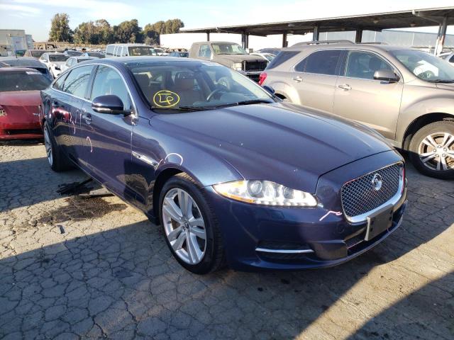 Jaguar Xjl portfo (2013)