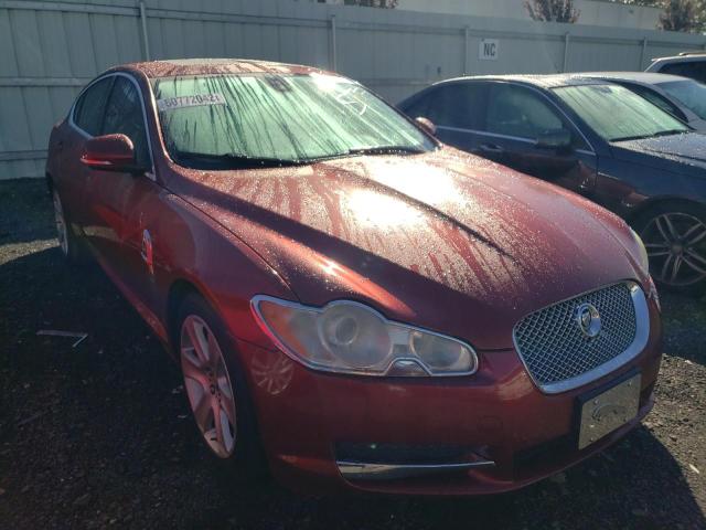 Jaguar Xf luxury (2010)