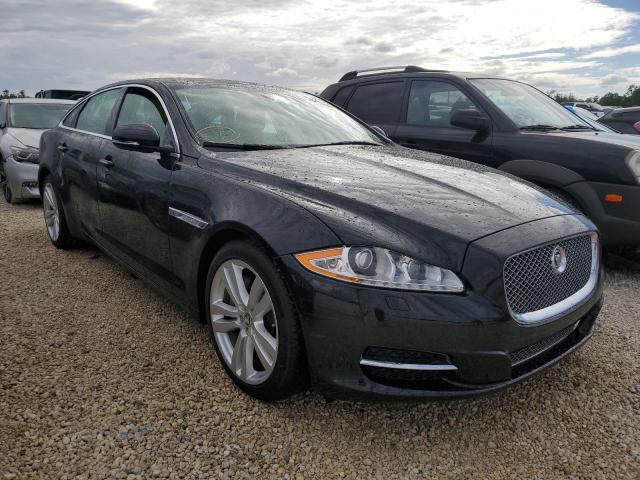 Jaguar Xjl portfo (2013)