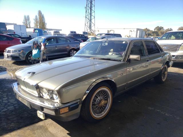 Jaguar Vandenplas (1988)