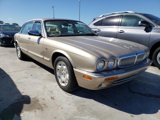 Jaguar Vandenplas (2001)