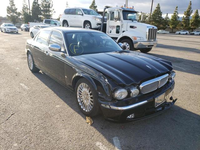 Jaguar Vandenplas (2006)