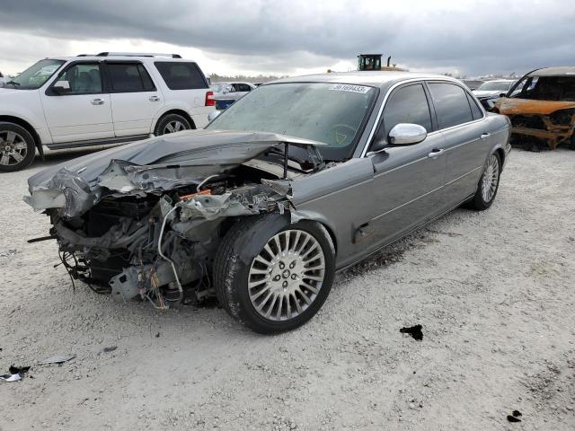 Jaguar Vandenplas (2005)