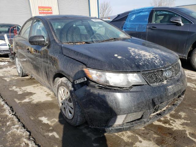 Kia Forte lx (2010)