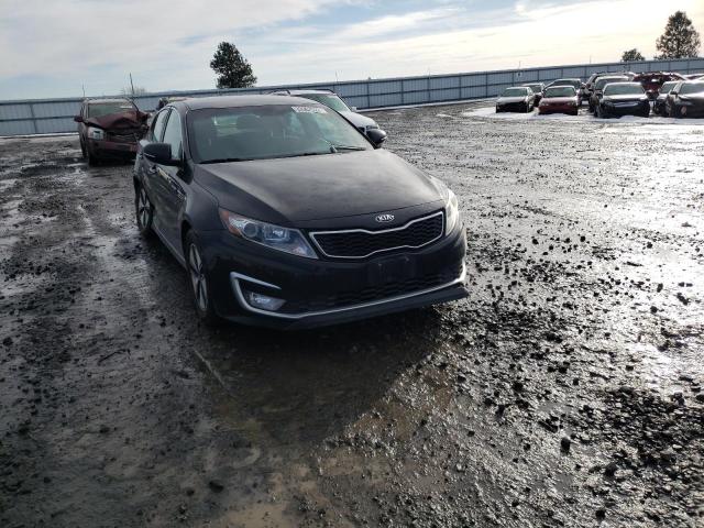 Kia Optima hyb (2013)