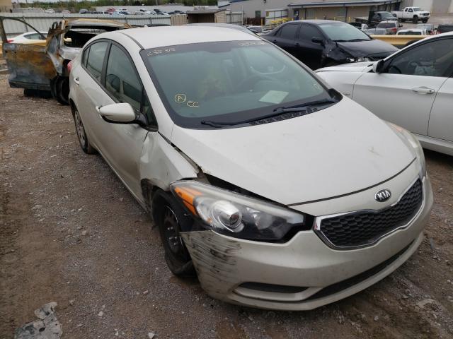 Kia Forte lx (2014)
