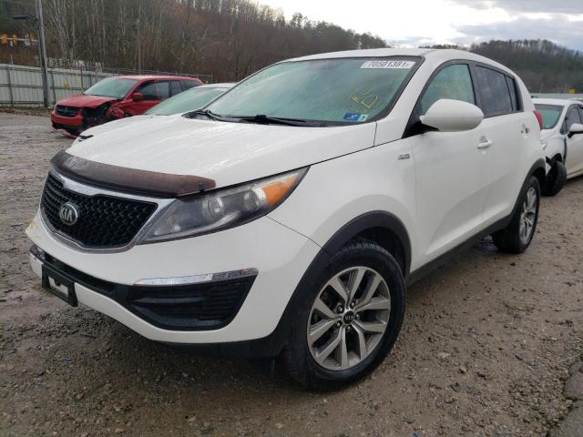 Kia Sportage l 2016