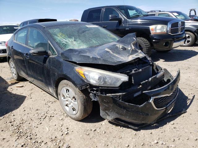 Kia Forte lx (2015)