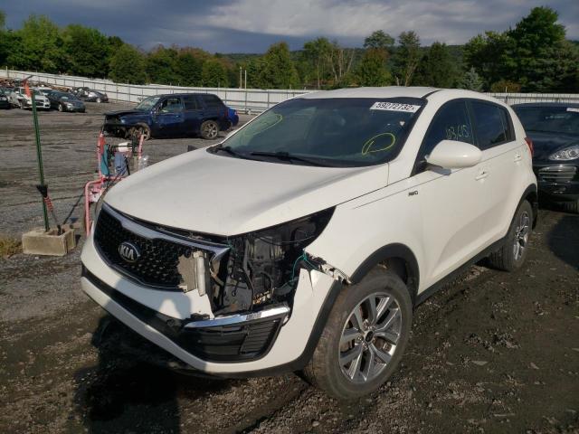 Kia Sportage l 2016