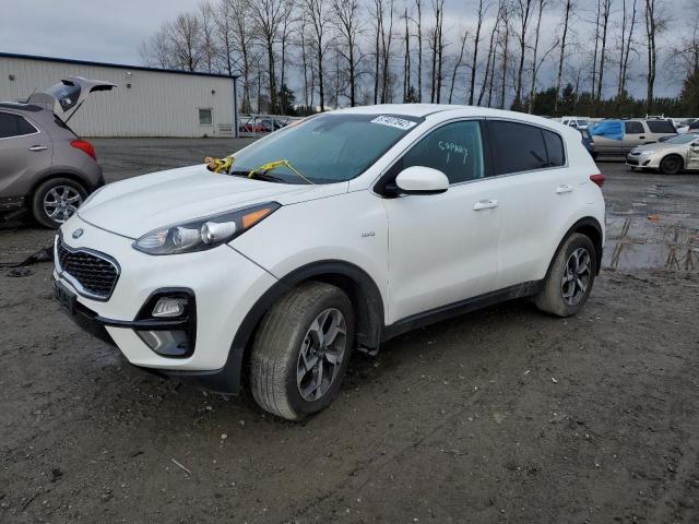 Kia Sportage l (2022)