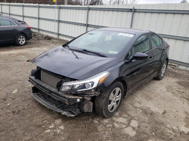 Kia Forte lx (2017)