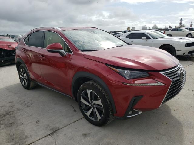 Lexus Nx 300 (2020)